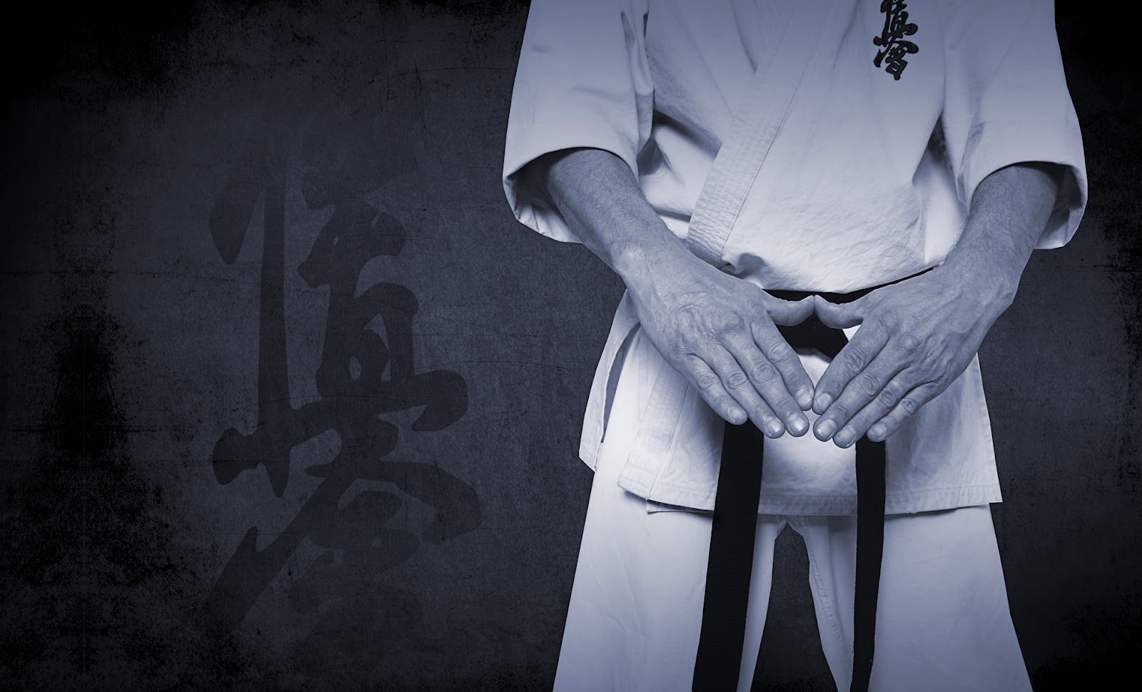 Main image of Karate i samoobrona