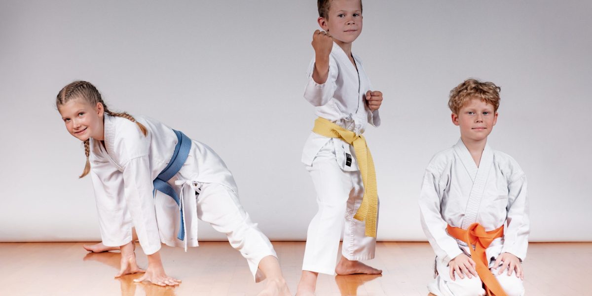 Main image of Karate Institute Slovenija