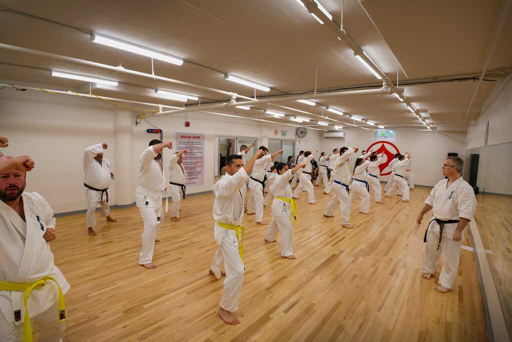Main image of Karate Kyokushin Saint-Jean