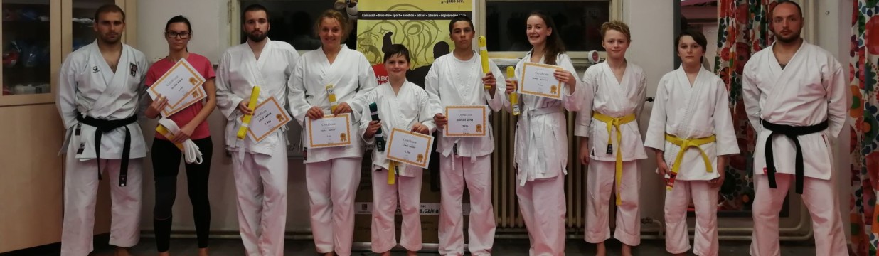 Main image of Karate Lions Pardubice