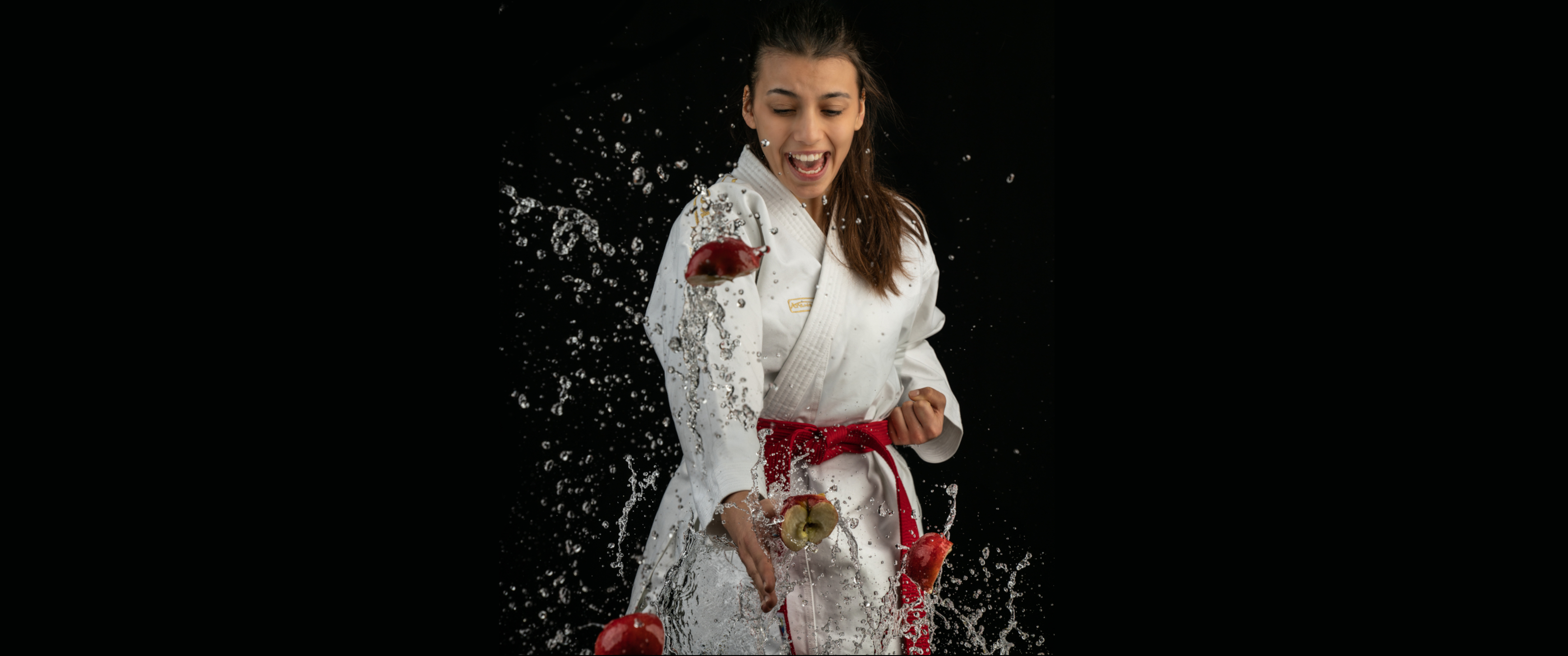 Main image of Karate Mijó Wilchigen