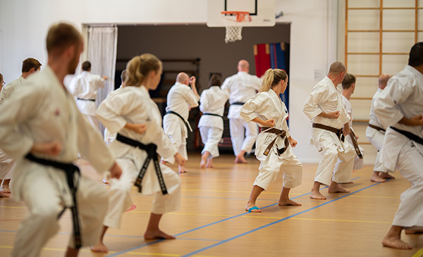 Main image of Karate Moerdijk