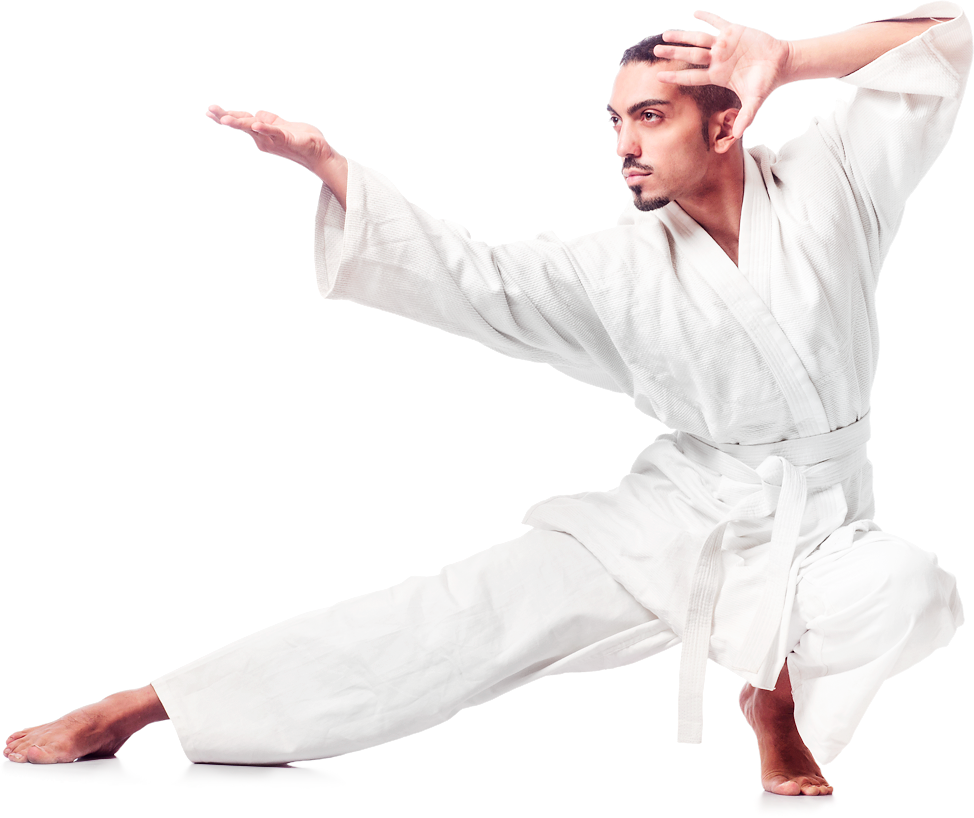 Main image of Karate No Kachi Wien