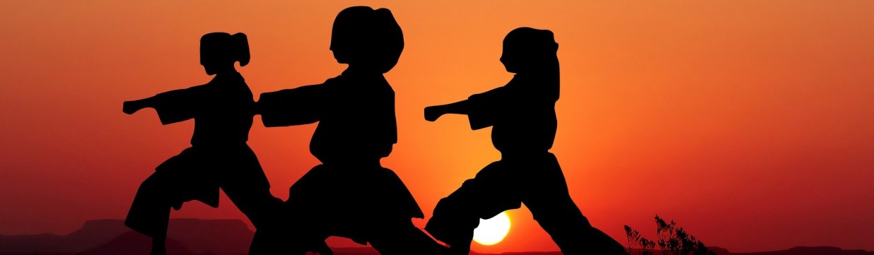 Main image of Karate NWSK