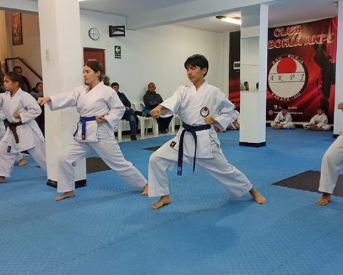 Main image of Karate San Borja