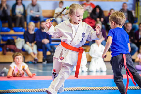 Main image of Karate Shinkyokushin