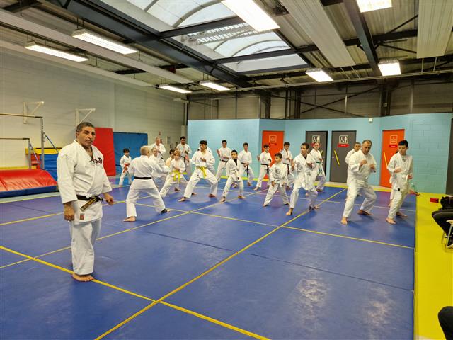 Main image of Karate Shotokan