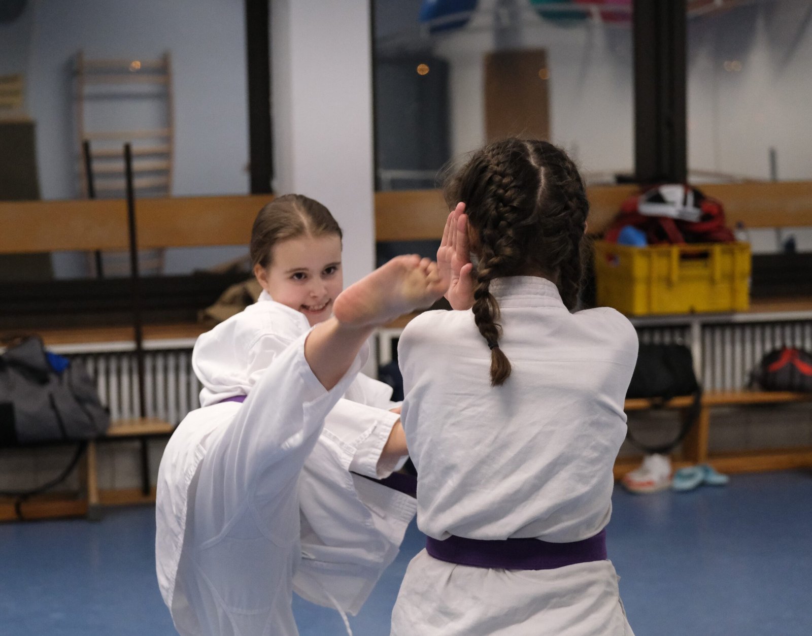 Main image of Karate SV1880