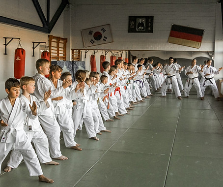 Main image of Karate Tiger Dojo Helmstedt