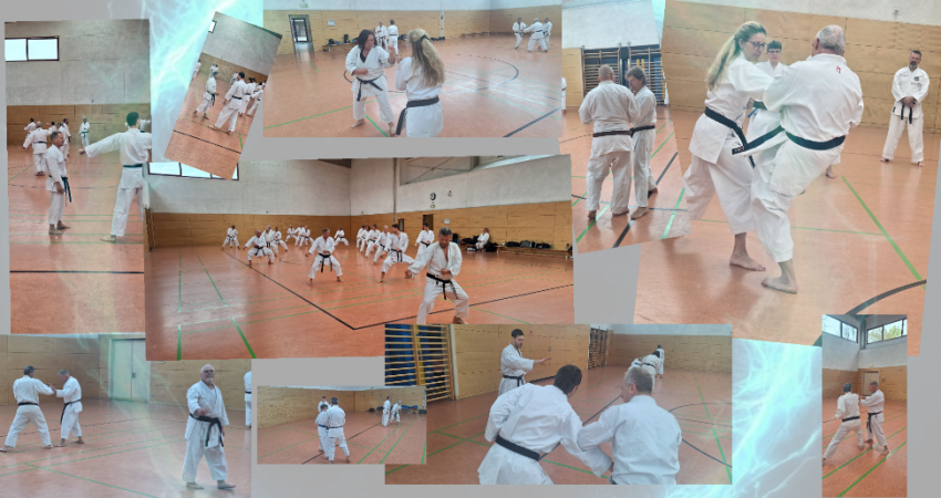 Main image of Karate Verein Rosbach E.v.