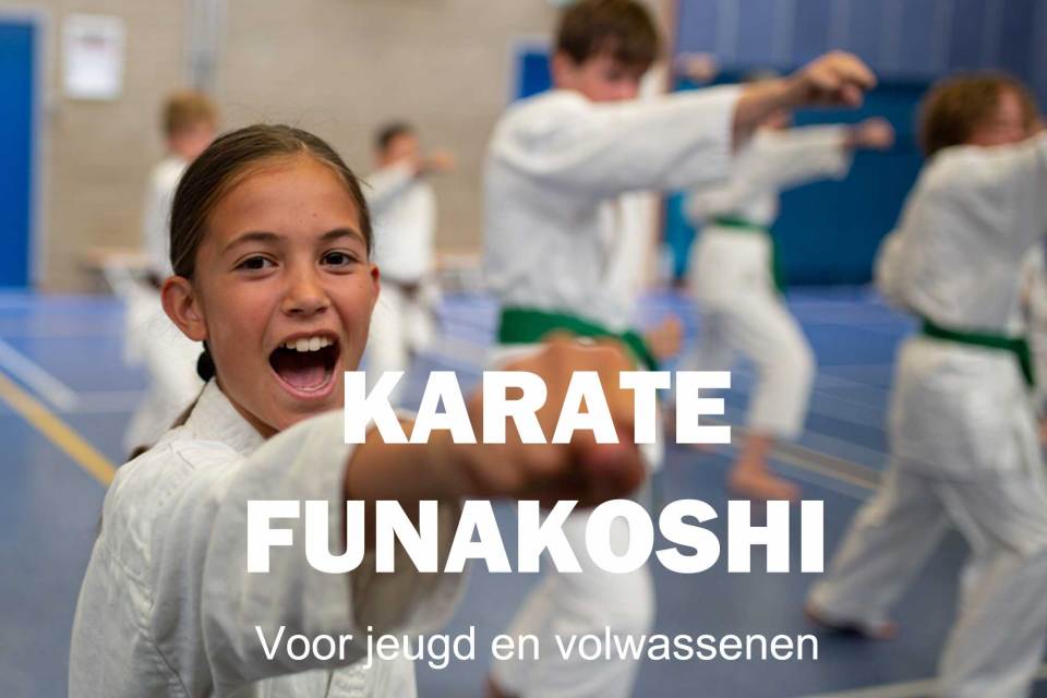 Main image of Karate Vereniging Funakoshi