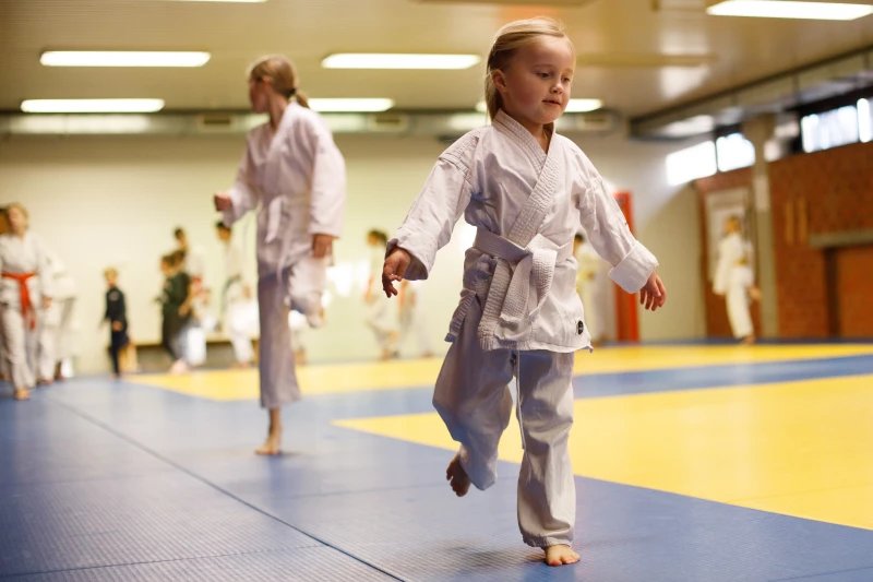 Main image of Karate Vlaanderen