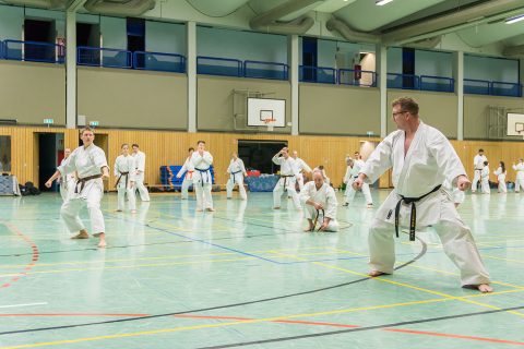 Main image of Karate Zanshin