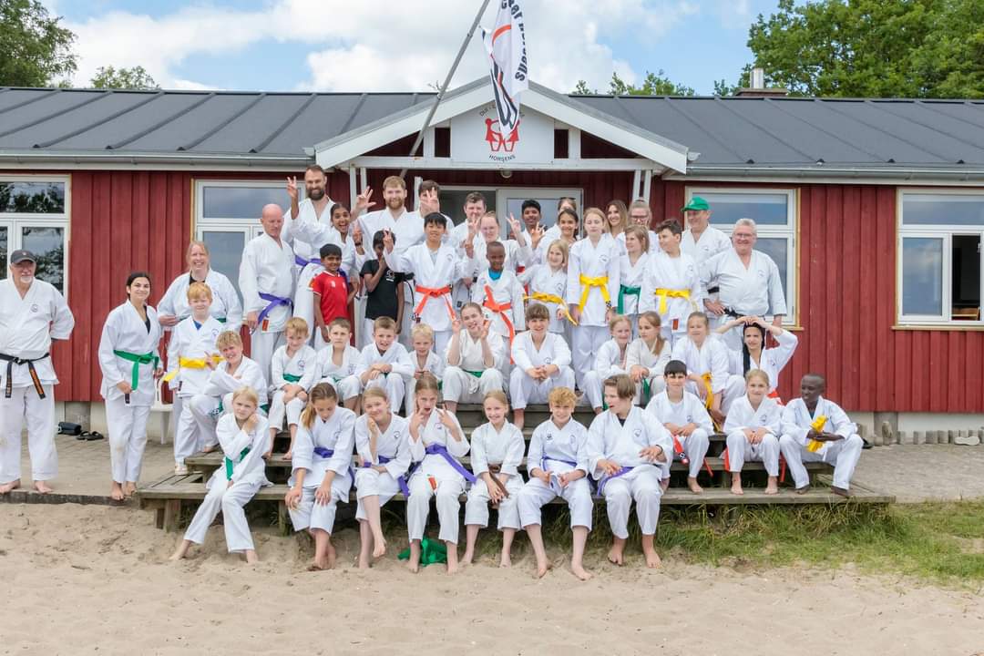 Main image of KarateCenter Horsens