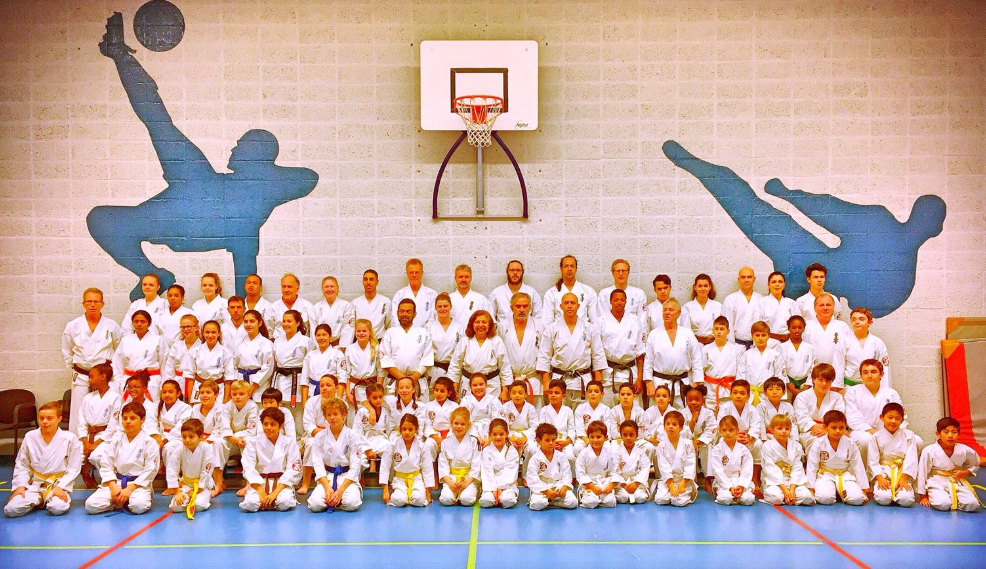 Main image of Karatedo Yokoso