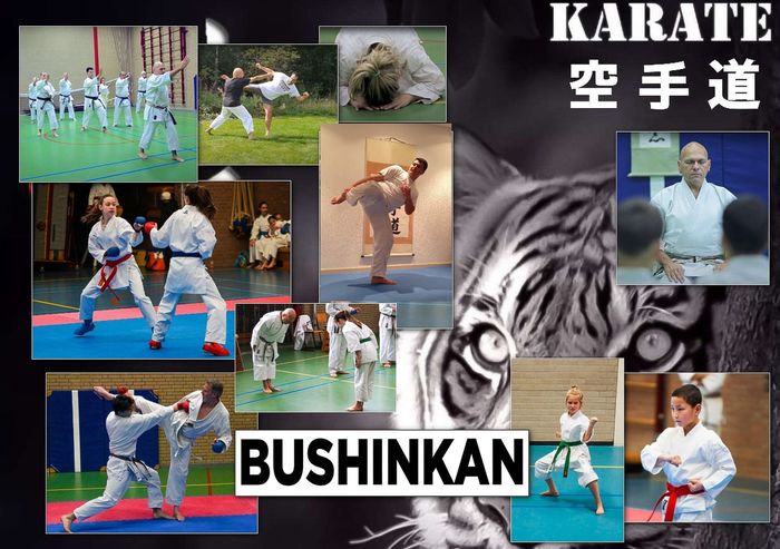 Main image of Karateschool Bu Shin Kan