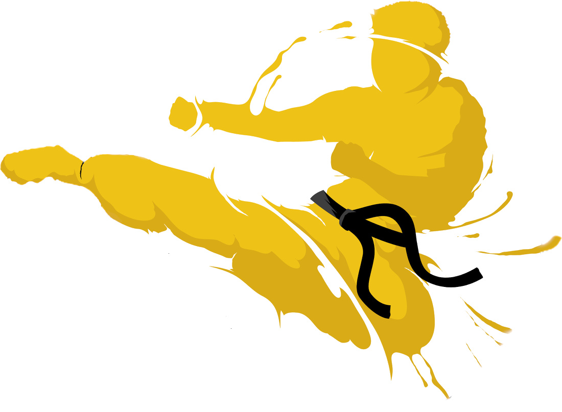 Main image of Karatesportverein Hato Dresden E.v.
