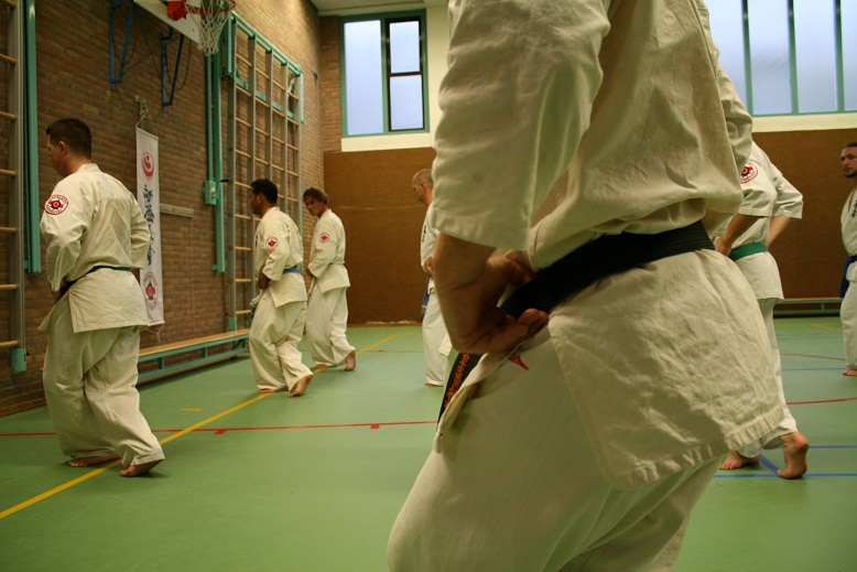 Main image of Karatevereniging Omegasport