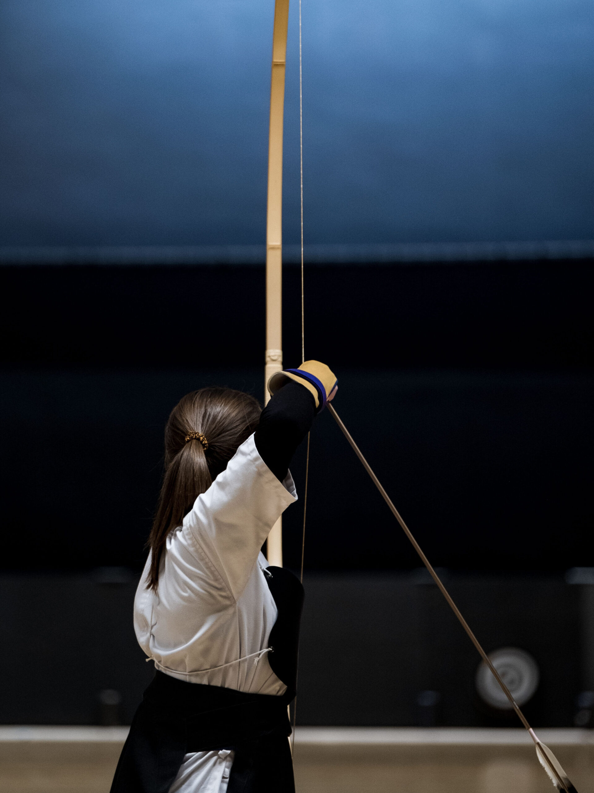 Main image of Kashiwanotani Kyudojo