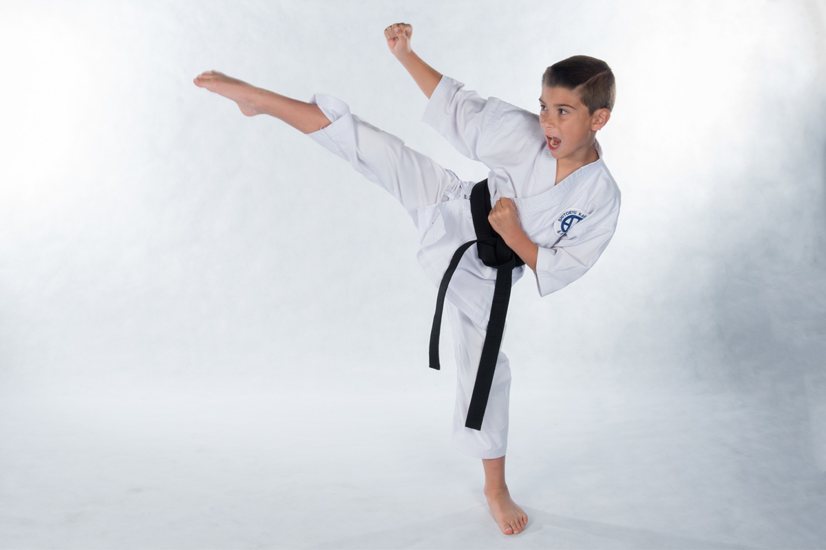 Main image of Kassis Karate Academy