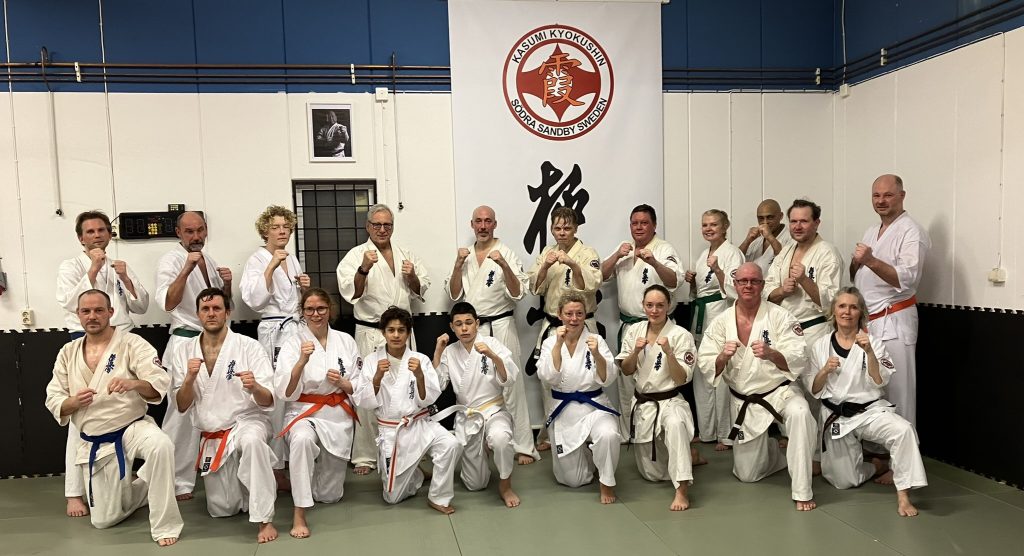 Main image of Kasumi Kyokushin Karate