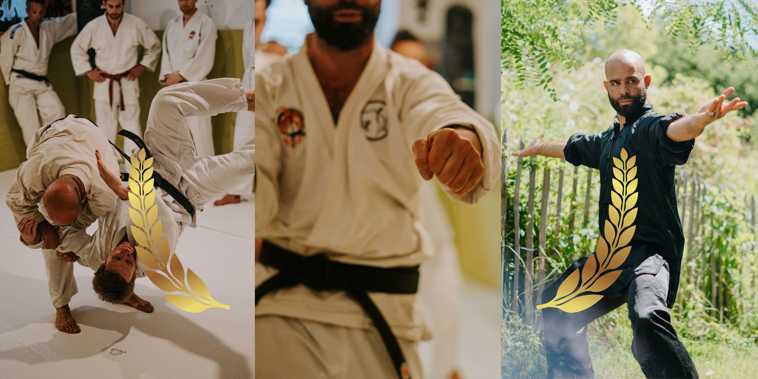 Main image of Katan'art Dojo School of Martial Arts