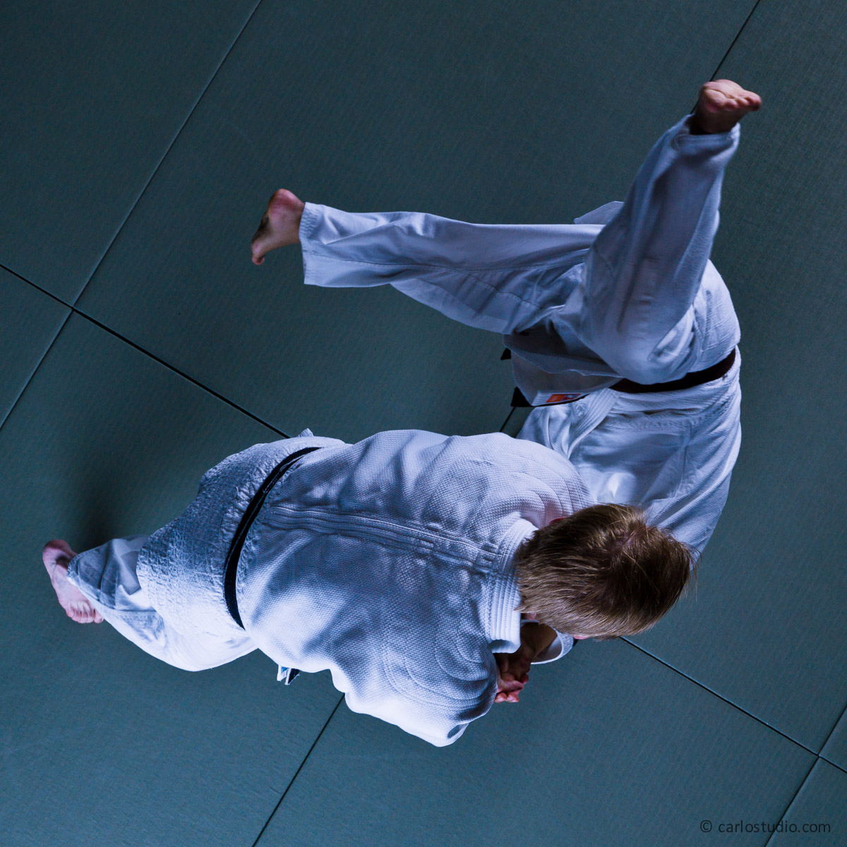 Main image of Katori Shinto Ryu