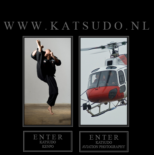 Main image of Katsudo Kenpo