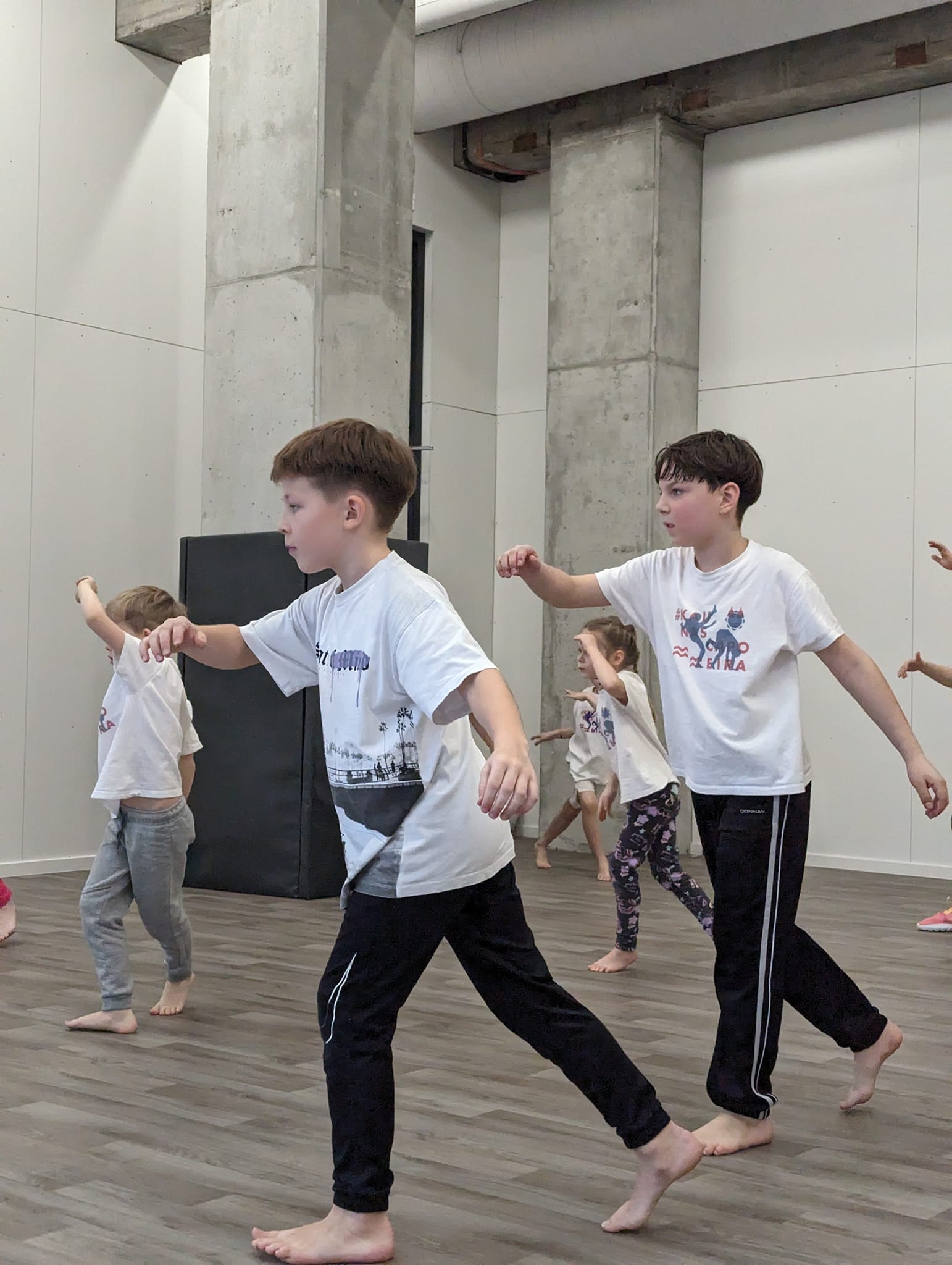 Main image of Kaunas Capoeira