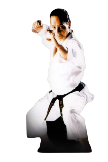 Main image of Keikukan Martial Arts School