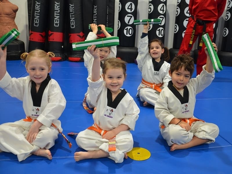 Main image of Kempo Karate Australia