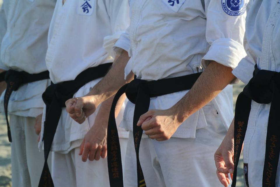 Main image of Kenshikai Karate-Do Italia