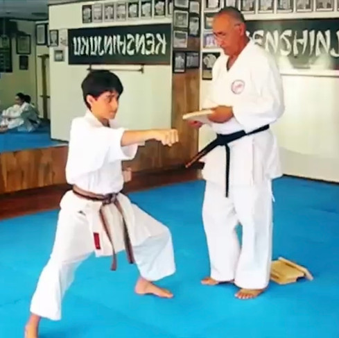 Main image of Kenshinjuku Karate