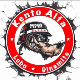 Main image of Kento Alfa