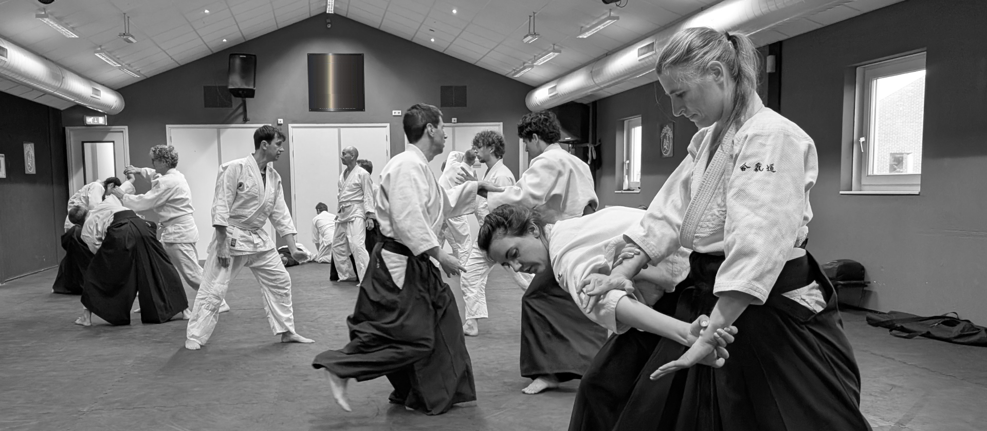 Main image of Keyaki Aikido
