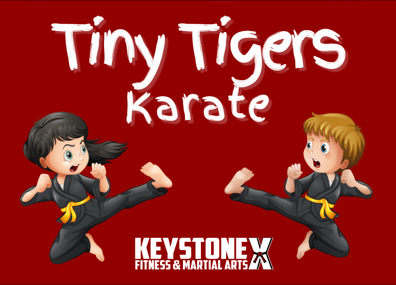 Main image of Keystone X Fitness & Martial Arts