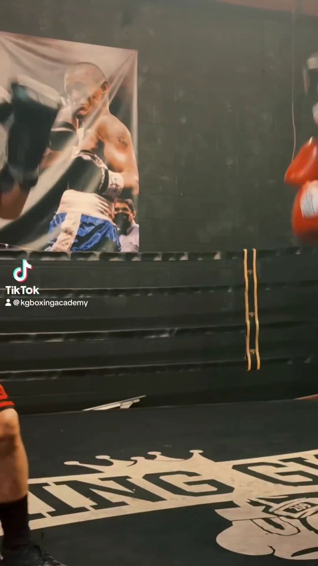 Main image of KG Boxing Academy & Fitness