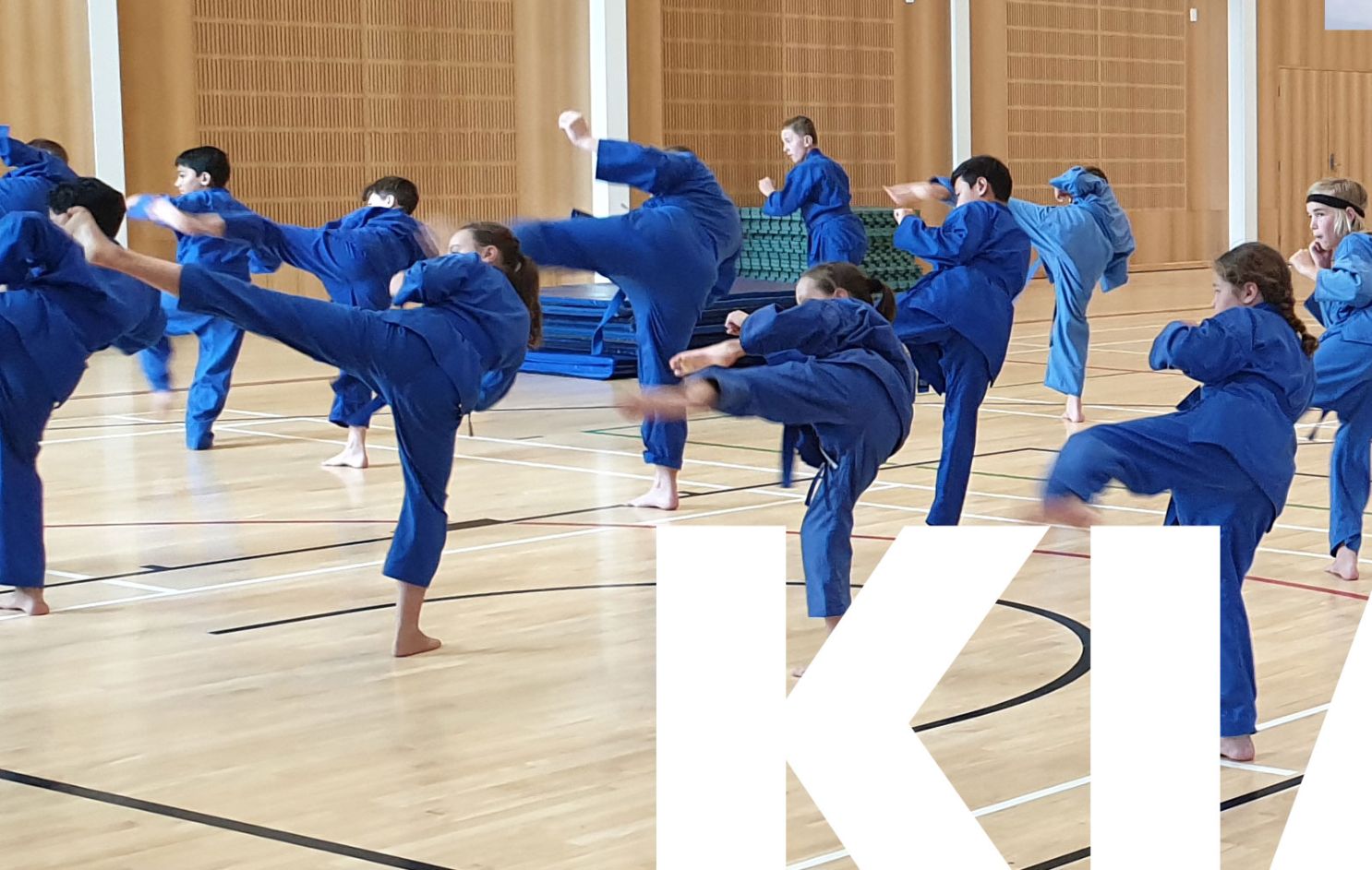 Main image of Kiaido Ryu Martial Arts Remuera Dojo