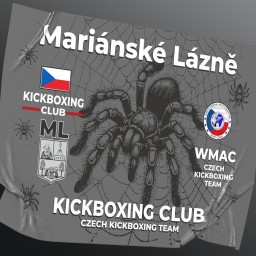 Main image of Kickbox klub Mariánské Lázně