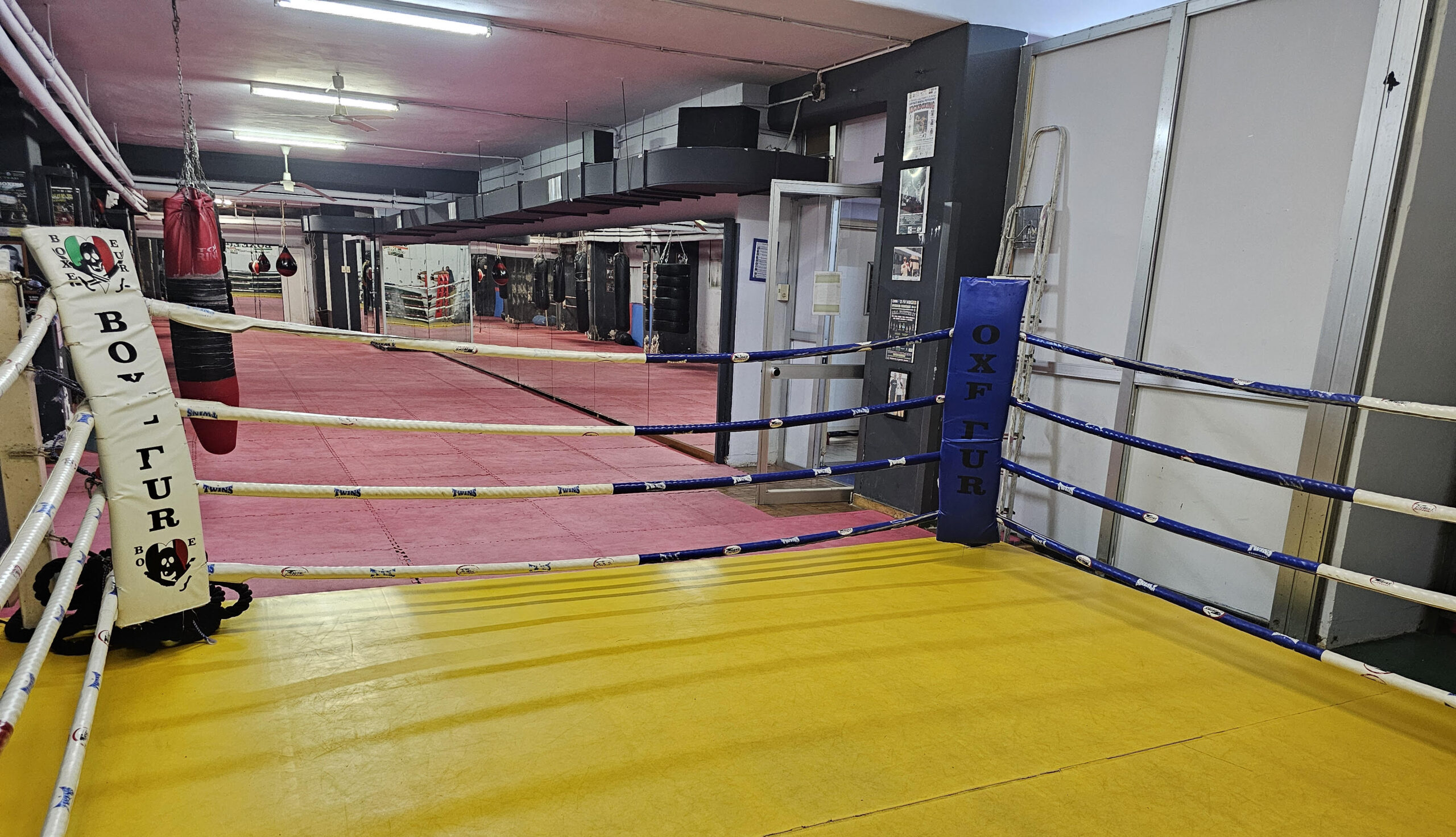 Kickboxing Academy Roma academy image