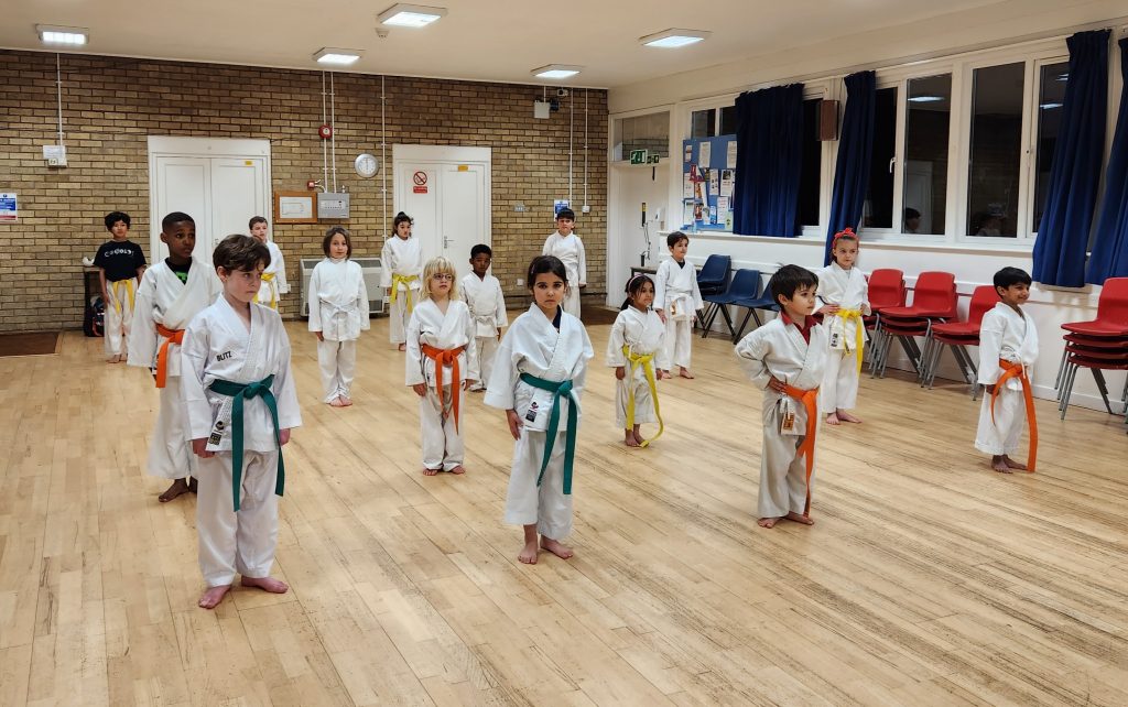 Main image of Kids Karate Academy