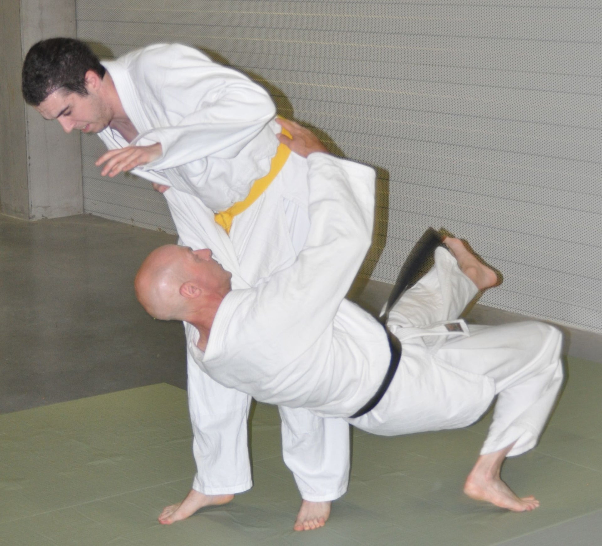 Main image of Kihon Martial arts