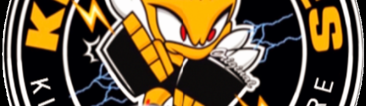 Main image of Killer Bees Kickboxing Ardmore