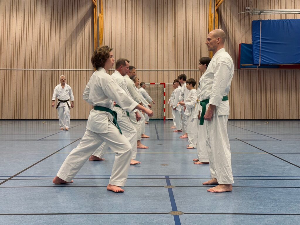 Main image of Kime Karate Wadokai IF