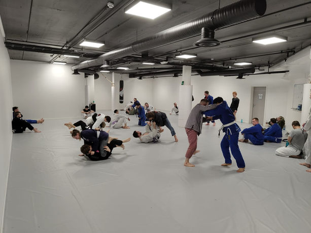 Main image of Kimura Hamar
