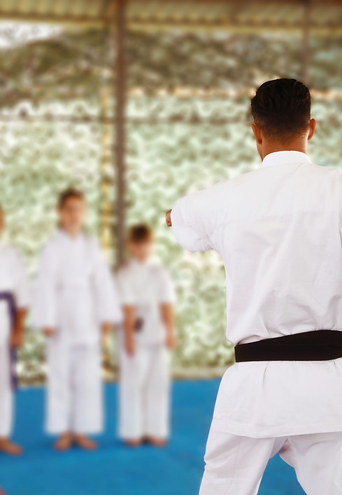 Main image of Kincardine Karate Dojo