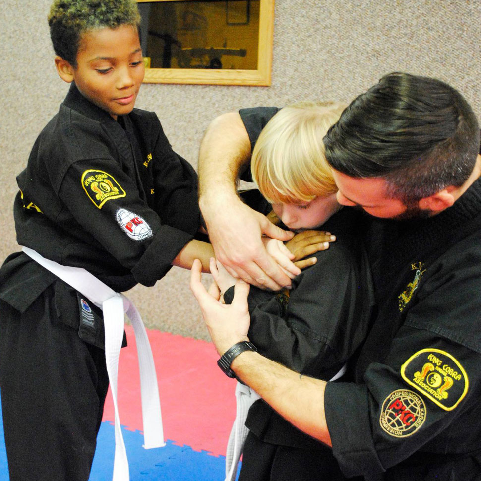 Main image of King Cobra Karate