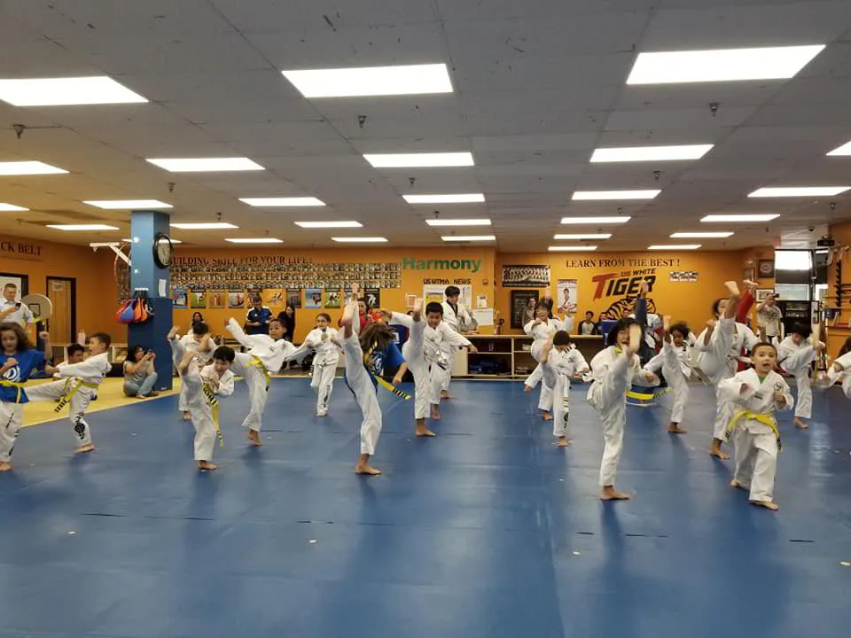 Main image of King Tiger Tae Kwon Do