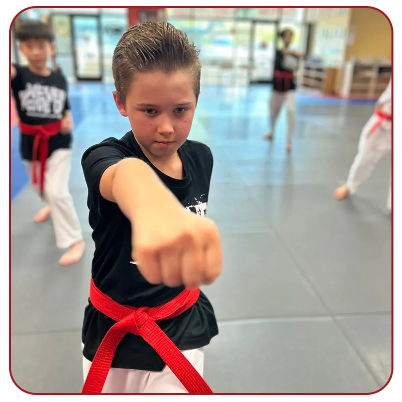 Main image of King Tiger Taekwondo