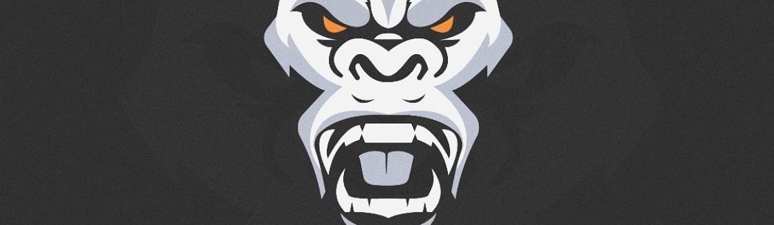 Main image of KINGSMAN JIU JITSU CHILE
